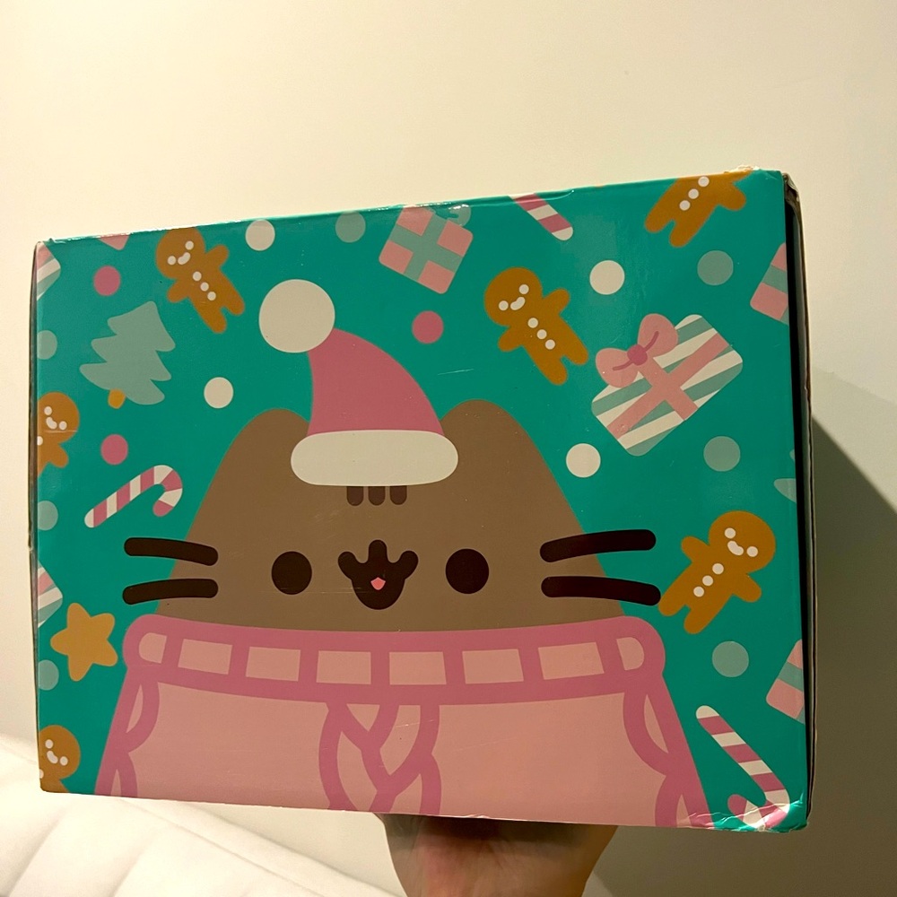 Pusheen Box Christmas 2021 (box only)